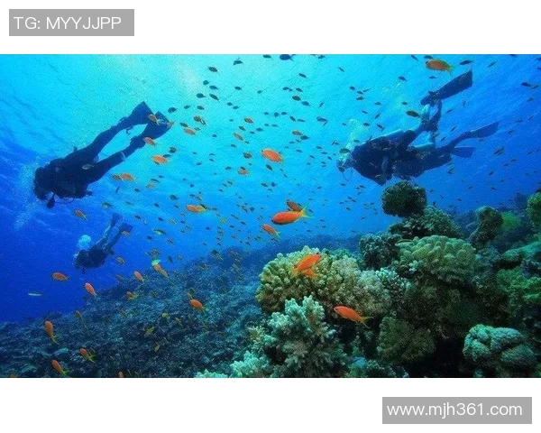 游泳装备全攻略：从泳衣到泳镜，打造完美水中体验